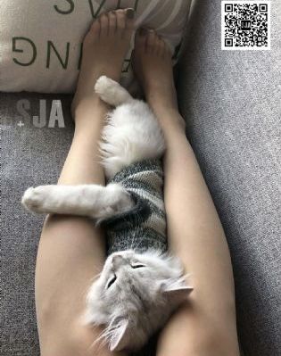 百变小樱中文版普通话版_1080电视剧在线观看